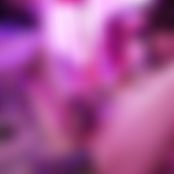 Tweetney - witch megumin gets pounded.mp4