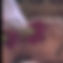 The Secret Garden 2 (1992) [LDRip].mp4